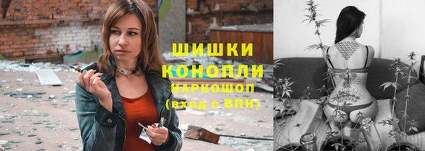прущий лед Арсеньев